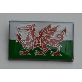 Welsh Flag Pin Badge